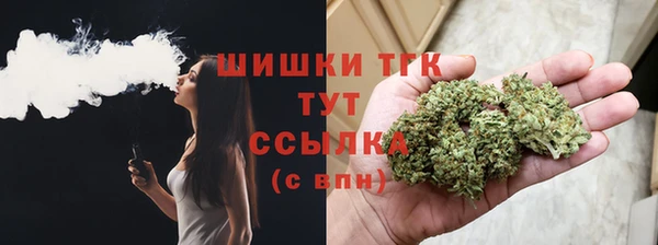 спиды Арсеньев