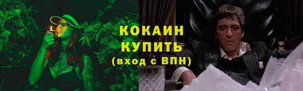 спиды Арсеньев