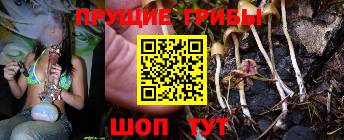 купить   Вход с VPN  Лениногорск  Галлюциногенные грибы Magic Shrooms 